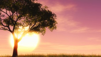 A Lorem Ipsum egy egyszerû szövegrészlete, szövegutánzata a betûszedõ és nyomdaiparnak