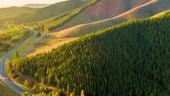 Title comes here. It can be only this long but ok