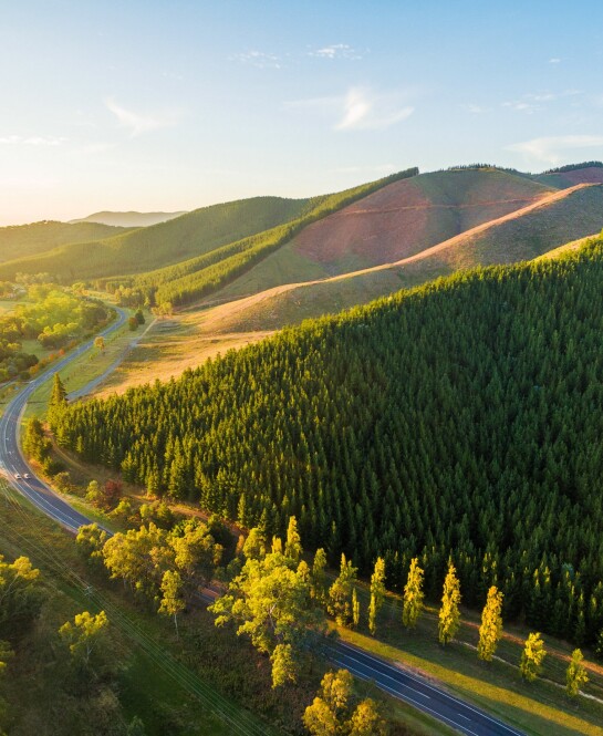 Title comes here. It can be only this long but ok